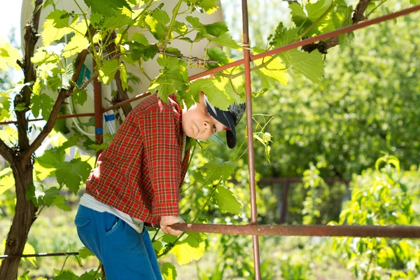 Cute young boy climbing on a steel boundary — Stock Photo, Image