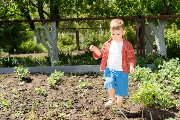 A cute kid walking in the garden — Stock Photo, Image