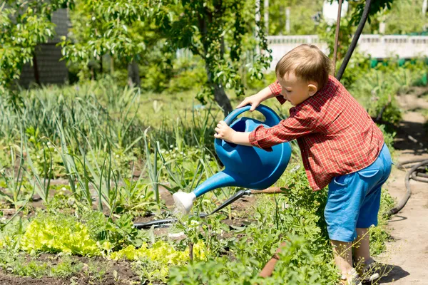 Young boy watering rows of vegetables — Stock Photo, Image