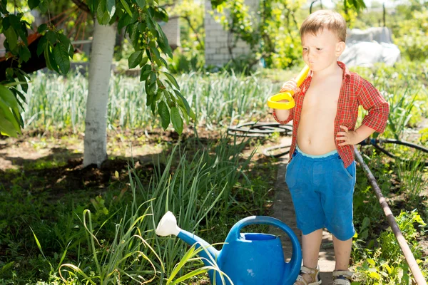 Young gster helping out in the veggie garden — стоковое фото