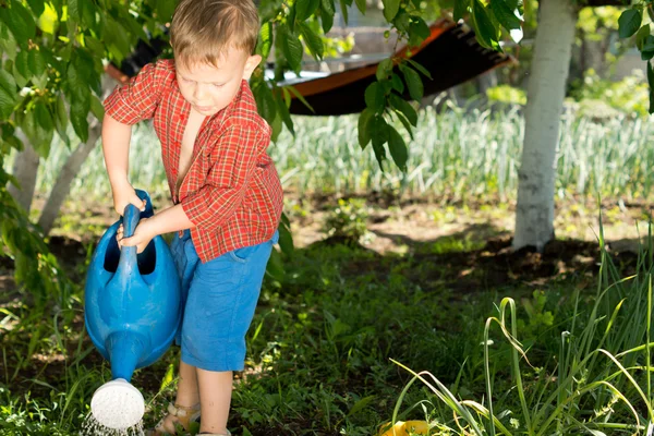 Милый мальчик поливает овощи — стоковое фото