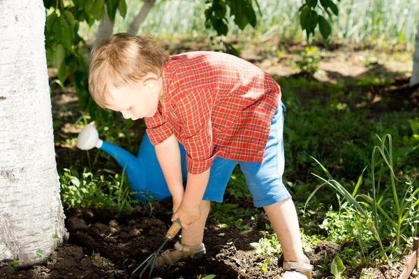 Aranyos kisfiú ásni a lábánál egy fa — Stock Fotó