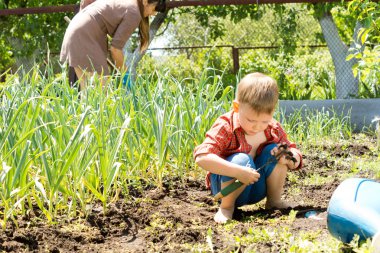 küçük çocuk bir sebze bahçesinde oynarken