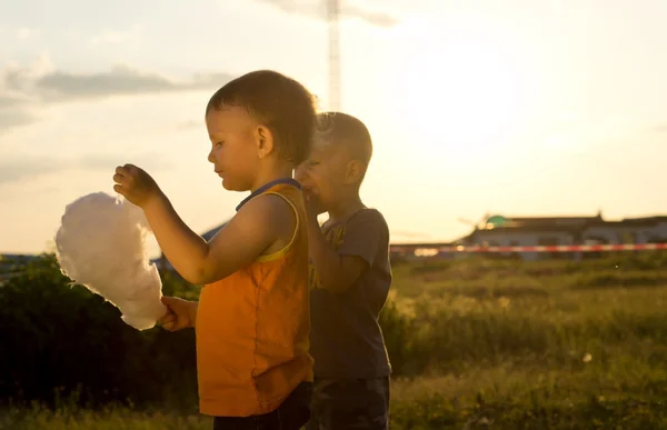 Two young boys sharing cotton-candy on sunset — Stock Photo, Image
