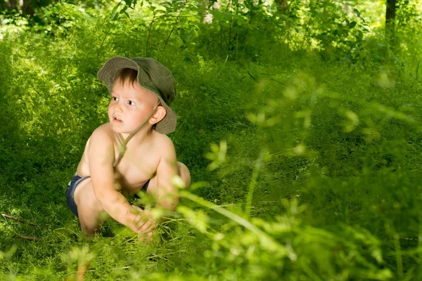 Překvapen chlapec malé objevování přírody — Stock fotografie