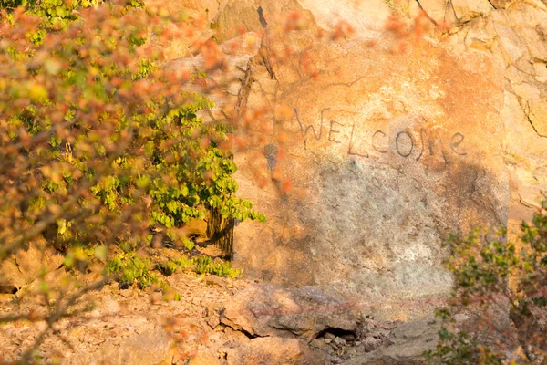 Bienvenue écrit sur un rocher de montagne — Photo