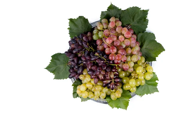 Disposición de las diferentes variedades de uva — Foto de Stock