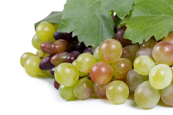 Uvas dulces frescas para comer o hacer vino — Foto de Stock