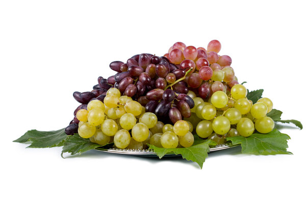 Variety of fresh grape cultivars