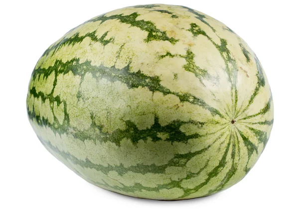 Whole fresh watermelon — Stock Photo, Image