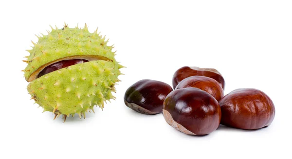 Whole fresh raw chestnuts — Stock Photo, Image