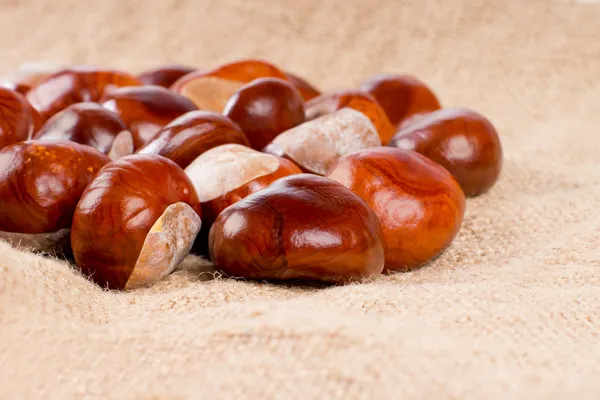 Harvest of autumn chestnuts — Stock Photo, Image