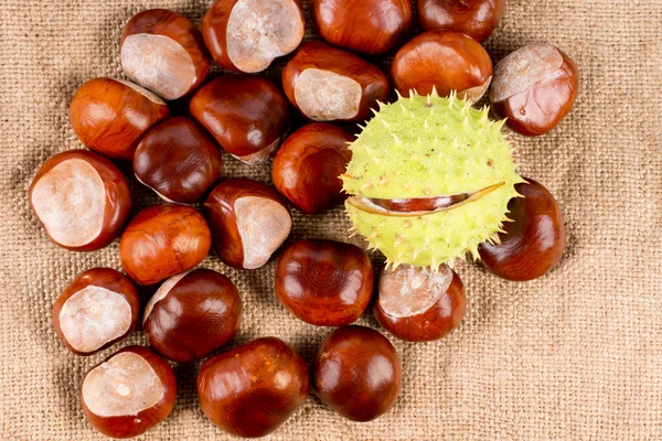 Autumn chestnuts — Stock Photo, Image