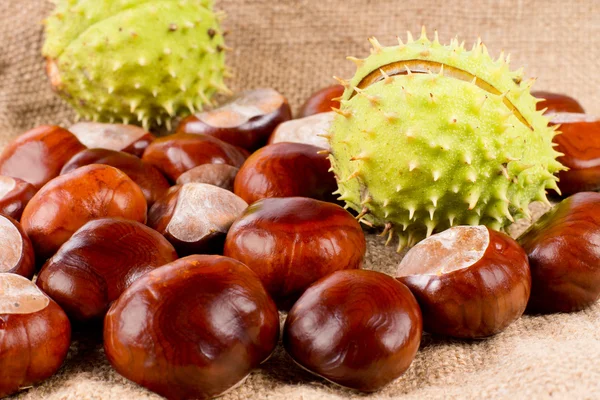 Fresh raw sweet chestnuts — Stock Photo, Image