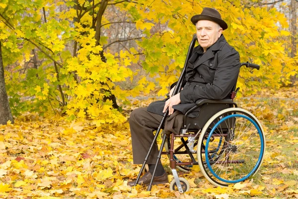 Elderly amputee enjoying a day in a fall park — Stock Photo, Image