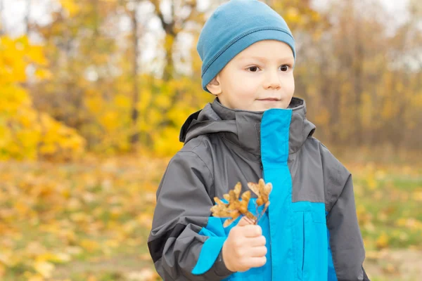 Söt glad liten pojke i höst woods — Stockfoto