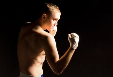 Eğitim sırasında karesi genç boksör