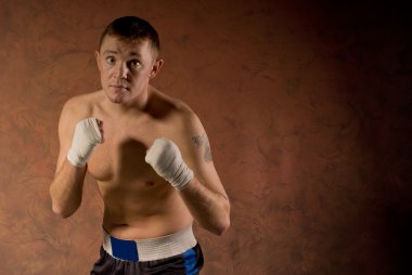 hırçın kararlı genç boksör