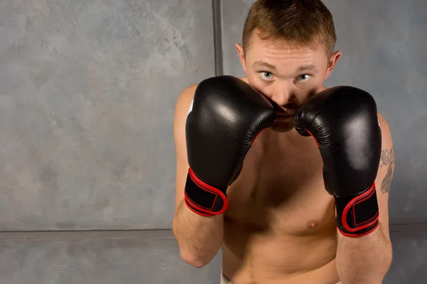 Boxer staring at the camera over his fists — Stock Photo, Image