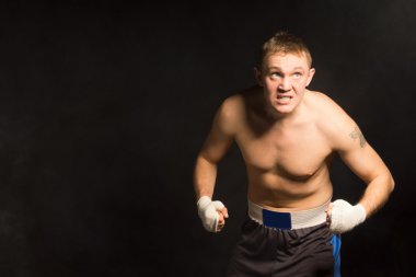 kararlı genç boksör