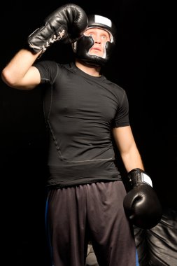 kas genç boksör uygun