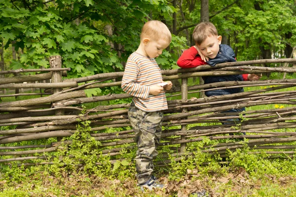 Dwóch chłopców o dyskusji nad ogrodzenia — Zdjęcie stockowe