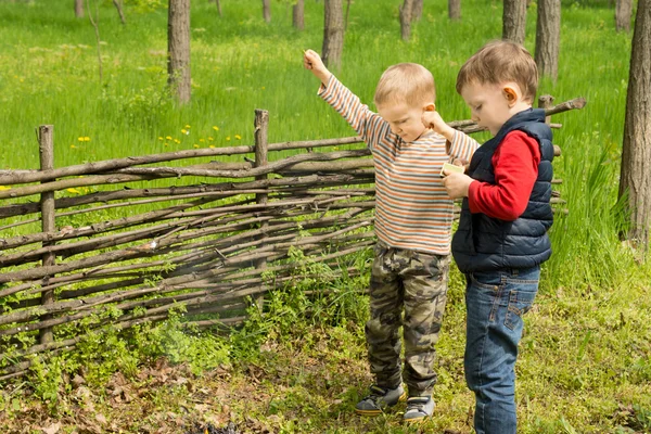 Zwei kleine Jungen feiern das Entzünden eines Feuers — Stockfoto