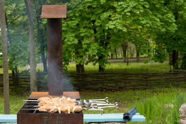Kebabs cooking on a barbecue in woodland — Stock Photo, Image