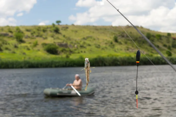 Peixe recém-capturado no gancho — Fotografia de Stock