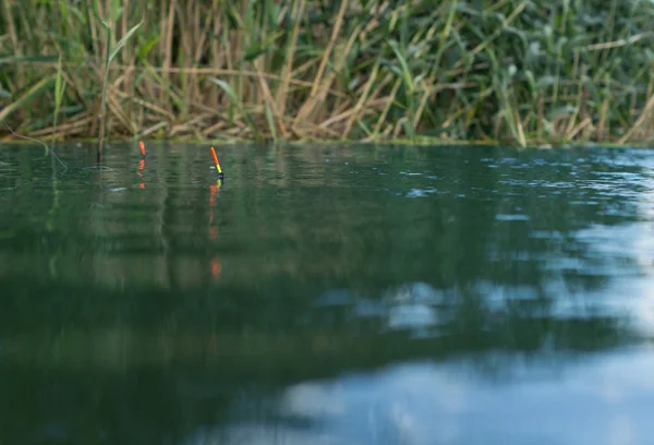 Two small fishing floats in the water — Stock Photo, Image