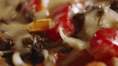 Lezzetli kiş veya taze sebzeli ve erimiş peynirli pizza.