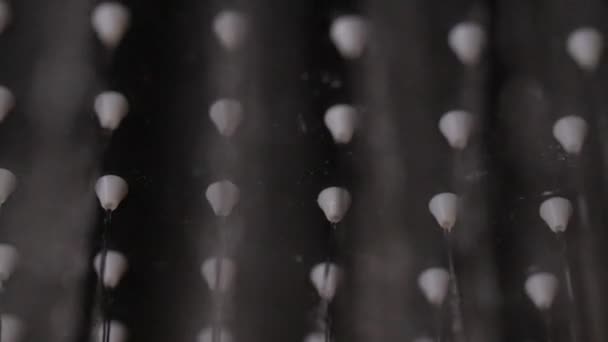 Wasser fließt aus Reihen kleiner Düsen auf einem Duschkopf — Stockvideo