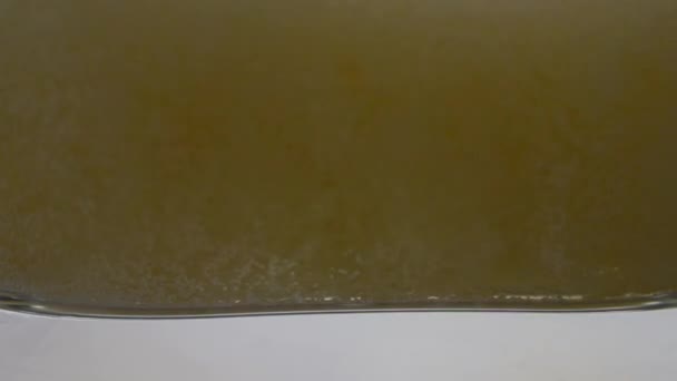Parte inferior da vista de vidro de cerveja dourada efervescente ou cerveja lager — Vídeo de Stock