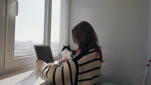 Γυναίκα που κάθεται βλέποντας μέσα ή διαβάζοντας σε ένα tablet — Αρχείο Βίντεο