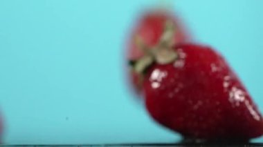 Side view of a fresh ripe red strawberry with blue background and copyspace in a healthy diet concept