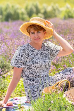 Attractive mature blond woman having a summer picnic on a farm relaxing in a field of purple lavender flowers smiling at the camera