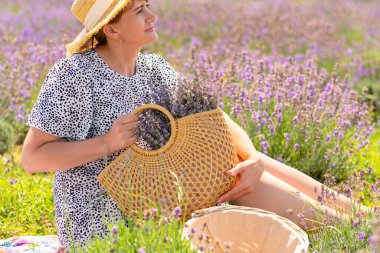 Woman posing in a field of lavender with basket of fresh fragrant purple flowers