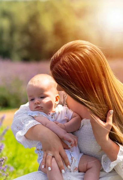 Backlit Portrait Loving Mother Baby Outdoors Amongst Lavender Fields Summer — 图库照片