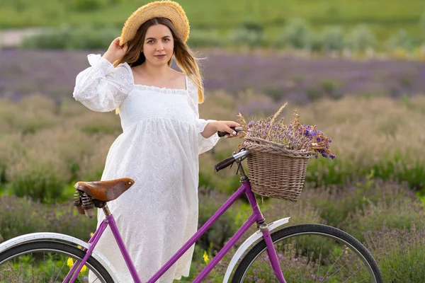 Портрет Молодої Жінки Стилі Кантрі Велосипедом Позує Полі Лаванди Влітку — стокове фото