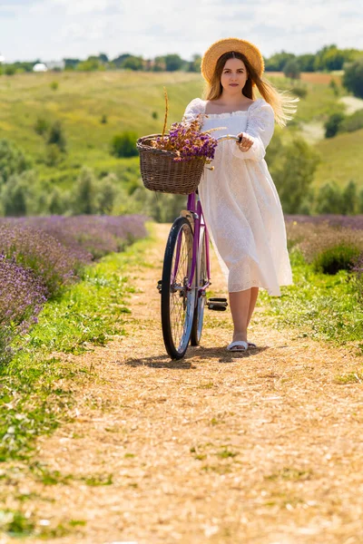 Young Woman Wheeling Her Bicycle Country Lane Fields Fresh Lavender — Fotografia de Stock