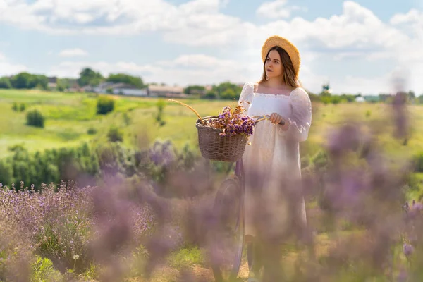 Young Woman Standing Her Bike Amongst Lavender Farm Field Summer — Stok fotoğraf