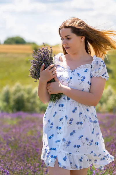 Young woman picking fresh lavender in a country field standing with the wind blowing her hair holding a bunch of flowers