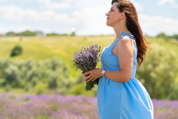 Woman Picking Fresh Lavender Farm Field Posing Standing Sideways Holding — Stok fotoğraf