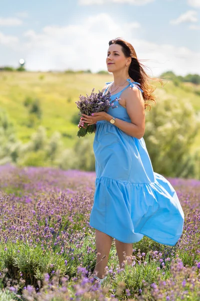 Attractive Woman Posing Blue Summer Dress Field Lavender Holding Bunch — Stok fotoğraf