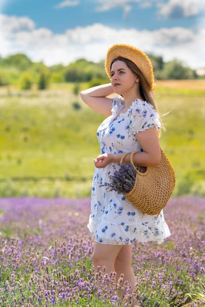 Модна Молода Жінка Літньому Вбранні Позує Лавандовому Полі Квітковому Сукні — стокове фото