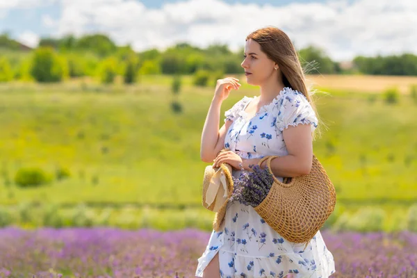 Fashionable Young Woman Collecting Fresh Lavender Field Posing Sideways Holding — Foto Stock