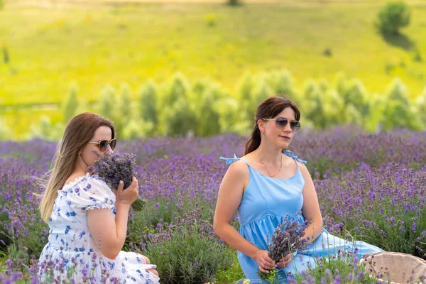 Two Young Women Friends Sitting Field Lavender Evening Light Fresh — Photo