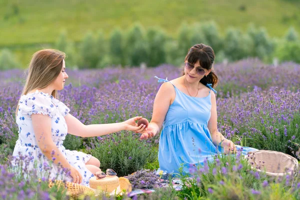 Two Women Friends Enjoyjng Summer Picnic Together Farm Sitting Field — Stok fotoğraf