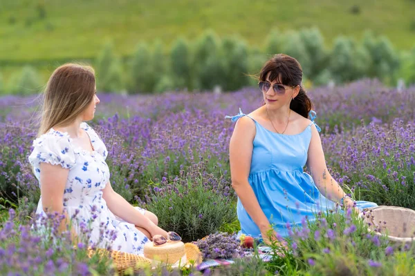 Two women friends having a summer picnic amongst purple flowering lavender plants in a farm field in a lifestyle concept