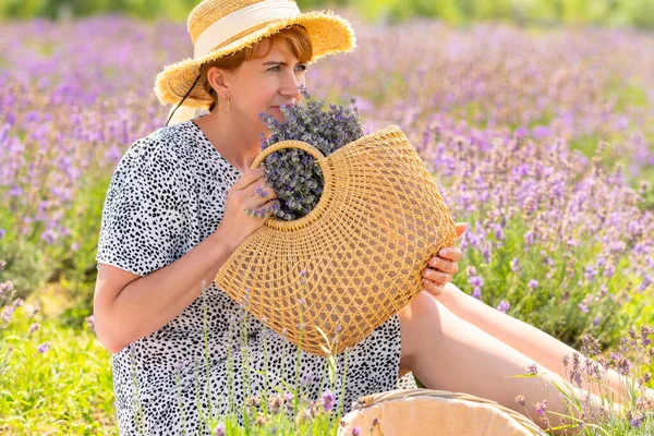 Woman Enjoying Fragrance Fresh Lavender Flowers Which She Has Just — Stok fotoğraf